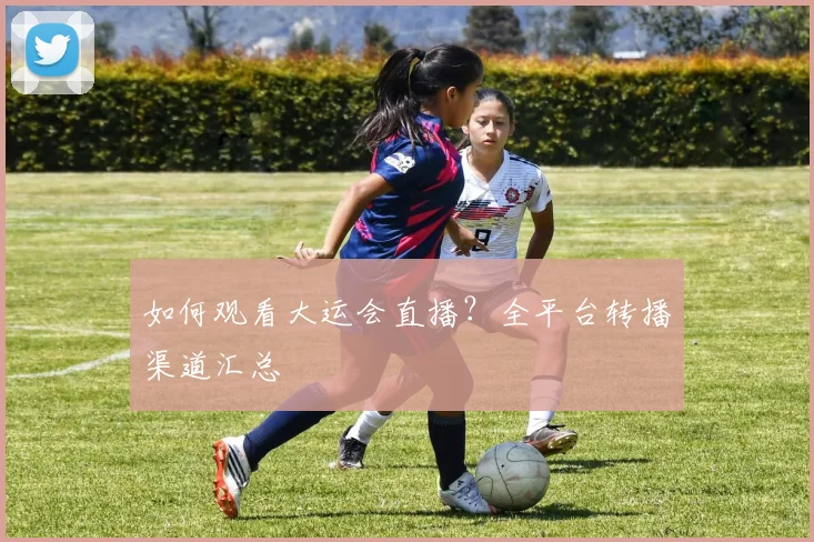 如何观看大运会直播？全平台转播渠道汇总